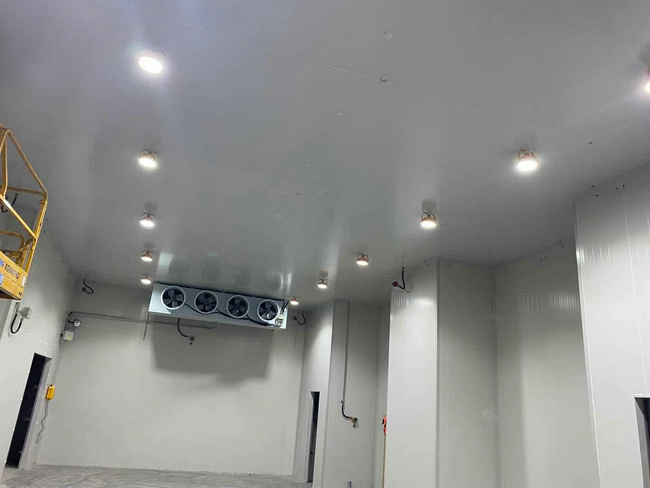 建個存放10噸貨物的冷庫大概需要多少錢？